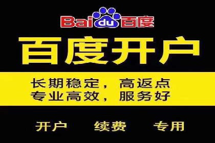 百度推广排名优化策略案例分析